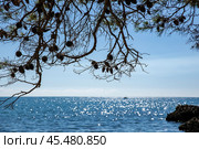 Италия. Минтурно. Вида на Тирренское море. Italy. Minturno. View of the Tyrrhenian Sea. Стоковое фото, фотограф Алексей Смышляев / Фотобанк Лори