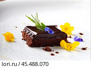 Авторская шоколадная композиция из шоколадного десерта, ягод, мяты и цветов на белой тарелке. Стоковое AI-изображение, AI-художник Ирина Першина / Фотобанк Лори