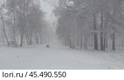 Video about bad weather in city. Alley in city park during  snowstorm and blizzard on stormy winter day. Natural winter background. Weather forecast, climate change concept. Стоковое видео, видеограф Виктория Катьянова / Фотобанк Лори