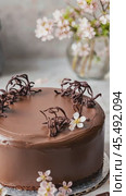 Chocolate cake decorated with chocolate twigs and spring flowers. Стоковое AI-видео, аниматор Юрий Поздников / Фотобанк Лори