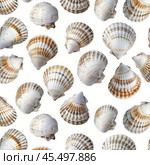 Common cockle shells forming seamless pattern on white background. Стоковое AI-изображение, AI-художник Иван Рябоконь / Фотобанк Лори