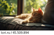 A ginger cat, comfortably located on a sofa by the window. Warm sunlight illuminates his fur, emphasizing the softness and fluffiness. In the background, a slightly blurred green landscape is visible, which creates an atmosphere of coziness and calm. The cat looks relaxed and contented, enjoying the moment. The photo conveys a feeling of warmth, home comfort and peace. Стоковое AI-изображение, AI-художник Анна Кривицкая / Фотобанк Лори