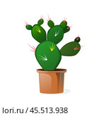 Vector illustration of a green decorative cactus Prickly pear plant in a brown pot isolated on a white background. Стоковая иллюстрация, иллюстратор Татьяна Куклина / Фотобанк Лори