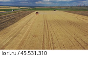 Aerial view of combine on harvest field. Стоковое видео, видеограф Михаил Коханчиков / Фотобанк Лори