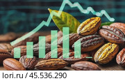 Cocoa beans spread before a rising stock graph, indicating a thriving chocolate industry market. These pods and seeds against fiscal data symbolize a sweet spot in agricultural investments. Стоковое AI-видео, аниматор Ольга Сухарева / Фотобанк Лори