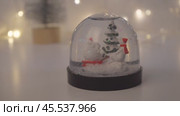 Snow globe with polar bears. Стоковое видео, видеограф Мария Паина / Фотобанк Лори