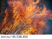 Горящая трава — пожар — сезонный пал. Стоковое фото, фотограф Snezka / Фотобанк Лори