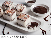 A plate of vegan lamingtons arranged on a light-colored surface, with chocolate sauce drizzling over the top and coconut flakes sprinkled around. The scene includes small bowls of coconut and chocolate chunks to emphasize the dessert's plant-based ingredients. Стоковое AI-изображение, AI-художник Ирина Старикова / Фотобанк Лори