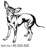Decorative portrait of standing in profile Prague Ratter, vector isolated illustration in black color on white background. Стоковая иллюстрация, иллюстратор Алина Мелентьева / Фотобанк Лори