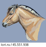 Portrait of horse head in profil (norwegian fjord pony) vector colorful hand drawing illustration on blue background. Стоковая иллюстрация, иллюстратор Алина Мелентьева / Фотобанк Лори