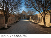 View of the Bab-i-Islam Gate and the alley to the Bahauddin Naqshbandi Memorial Complex on a sunny day, Bukhara, Uzbekistan. Стоковое фото, фотограф Ula Ulachka / Фотобанк Лори