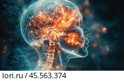 Visualization of the human brain and central nervous system. The human head and neck are depicted in a scientific illustration style, with an emphasis on electrical impulses and neural networks. Bright orange flashes symbolize brain activity, conveying a sense of intellectual and neural work. The background is done in dark blue tones, creating a contrast with bright details. This image is ideal for scientific, medical, educational, as well as topics related to artificial intelligence and neurotechnology. Стоковое AI-изображение, AI-художник Анна Кривицкая / Фотобанк Лори