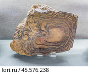 Goethite is a mineral of the diaspore group, consisting of iron oxide-hydroxide. Стоковое фото, фотограф Константин Григорьев / Фотобанк Лори