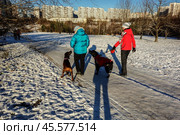 Люди гуляют с собаками в Парке 50-летия Октября зимой.  Две женщины с питомцами стоят на заснеженной дороге на фоне микрорайона Раменки, Москва. (2015 год). Редакционное фото, фотограф Iva Noel / Фотобанк Лори