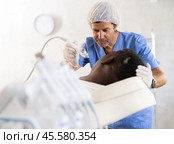 cosmetologist enhanced client's complexion. Стоковое фото, фотограф Яков Филимонов / Фотобанк Лори