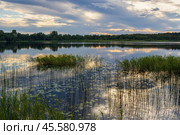 Красивый летний пейзаж с лесным озером. Стоковое фото, фотограф Андрей Степанов / Фотобанк Лори