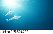 Two sharks glide effortlessly through clear blue waters under bright sunlight in a serene underwater environment. Стоковое AI-изображение, AI-художник Сергей Толмачёв / Фотобанк Лори