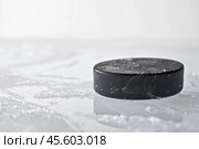 Шайба на льду стадиона. Стоковое AI-изображение, AI-художник Александр Жуков / Фотобанк Лори