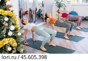 Young woman teacher perform inverted plank with girls in yoga studio in New Year Eve. Стоковое фото, фотограф Яков Филимонов / Фотобанк Лори