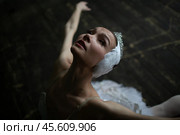 Ballerina as Odette from Pyotr Tchaikovsky's ballet "Swan Lake" Стоковое фото, фотограф Дмитрий Киселёв / Фотобанк Лори