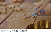 The blue sugar glaze adds an unusual brightness to the traditional ginger Christmas cookies. Стоковое видео, видеограф Strunov David / Фотобанк Лори