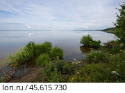 Река Волга. Вид с берега на Чебоксарское водохранилище. Летний речной пейзаж. Республика Марий Эл, Россия. Стоковое фото, фотограф Андрей Степанов / Фотобанк Лори