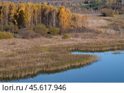 Золотая осень на берегу Городищенского озера. Изборско-Мальская долина. Псковская область. Редакционное фото, фотограф Виктор Карасев / Фотобанк Лори