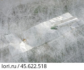 Использование скотча для заклейки дыр в укрывном материале. Стоковое фото, фотограф Вячеслав Палес / Фотобанк Лори