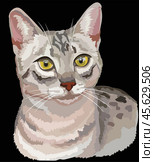 Vector outline colorful portrait of curious Egyptian Mau cat in black, white and grey colors. Illustration isolated on black background. Стоковая иллюстрация, иллюстратор Алина Мелентьева / Фотобанк Лори