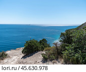 Olive tree branches with sea in the background. Стоковое фото, фотограф Фотограф / Фотобанк Лори