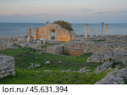 Sevastopol, Russia - October 13, 2024: Ruins of the ancient city of Tauris Chersonesus. Cremea. Стоковое фото, фотограф Екатерина Золина / Фотобанк Лори