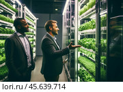 Agriculture engineer discussing innovative vertical farming techniques in a modern urban greenhouse. Стоковое AI-изображение, AI-художник Sergey Grishin / Фотобанк Лори
