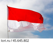 Against background of cloudy sky, white-red Monegasque flag flutters on flagpole. Стоковое фото, фотограф Яков Филимонов / Фотобанк Лори