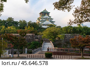 Osaka Castle from the side of the Gokuraku-bashi Bridge over the Inner Moat on a sunny autumn morning, Osaka, Japan. Стоковое фото, фотограф Ula Ulachka / Фотобанк Лори