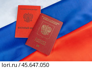 Russian foreign passport and military id serviceman of  citizen of the Russian Federation on Russian flag. Translation: Passport, Military ID card, Russian Federation. Стоковое фото, фотограф Мария Паина / Фотобанк Лори