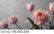 Minimalism. A beautiful pale pink flower on a gray background. The concept of Valentine's Day, Mother's Day and Women's Day. A copy of the space for the text. Стоковое AI-изображение, AI-художник Photojuli / Фотобанк Лори