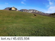 Дом на холме и конь на зеленом лугу на фоне гор. Стоковое фото, фотограф Яна Королёва / Фотобанк Лори