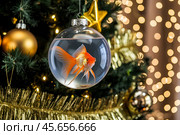 Goldfish in a ball as a Christmas tree toy on a decorated New Year tree. Fulfillment of wishes. New Year's card. Стоковое AI-изображение, AI-художник Сергей Комаров / Фотобанк Лори