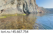 Here's a title attempting to follow all instructions: Water Algae Rocks: Shallow freshwater stream bed, likely near a rocky outcrop, showing algae growth. Time and reason unclear. Стоковое видео, видеограф svetograph / Фотобанк Лори