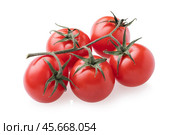 Branch of ripe cherry tomatoes isolated on white background. Стоковое фото, фотограф Сергей Чайко / Фотобанк Лори