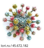 Colorful virus or bacteria showing spikes and globules on white background. Стоковое AI-изображение, AI-художник Иван Рябоконь / Фотобанк Лори