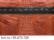 Black strip lies on brown crocodile skin. View from above. Стоковое фото, фотограф Александр Собко / Фотобанк Лори