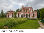 Разрушенный храм Рождества Пресвятой Богородицы. Деревня Соловарка. Сиземское сельское поселение. Шекснинский район. Вологодская область (2024 год). Стоковое фото, фотограф Сергей Афанасьев / Фотобанк Лори