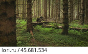 View of the Forest in Norway. Beautiful nature of Norway. The camera moves from the first person through the thicket of a pine forest. Стоковое видео, видеограф Андрей Армягов / Фотобанк Лори
