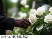 Man paying respects at cemetery touching white roses on tombstone. Стоковое AI-изображение, AI-художник Иван Рябоконь / Фотобанк Лори