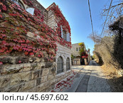 Narrow street in the historical village of Ein Karem (2024 год). Редакционное фото, фотограф Irina Opachevsky / Фотобанк Лори
