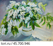 Bouquet of bird cherry. Oil painting on canvas by artist Inna Prityazhnyuk. Стоковая иллюстрация, иллюстратор Сергей Пристяжнюк (Serg Zastavkin) / Фотобанк Лори