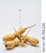 Spices and Medicinal Herbs - Ginseng, isolated on white background. Generative AI. Стоковое AI-изображение, AI-художник Андрей Аркуша / Фотобанк Лори