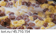 Breakfast Chocolate corn cereal in a bowl with milk. Стоковое видео, видеограф Андрей Армягов / Фотобанк Лори