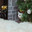 A white British cat with yellow eyes peeks out from under a Christmas tree near the fireplace. Стоковое фото, фотограф Неведицына Елена / Фотобанк Лори